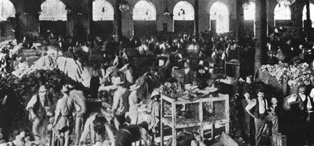 City of Sydney Archives SRC636